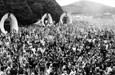 Last Trance 4