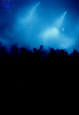 Blue crowd