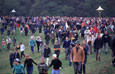 Stampede