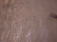 Mud
