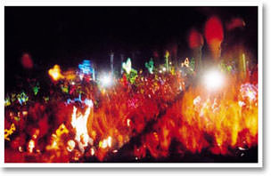 midnight in the trance zone